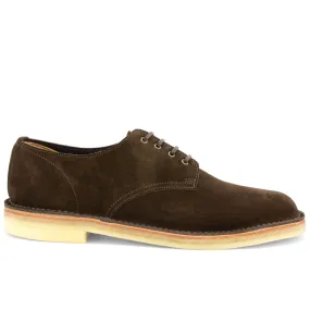 Desert Shoe Brown Suede